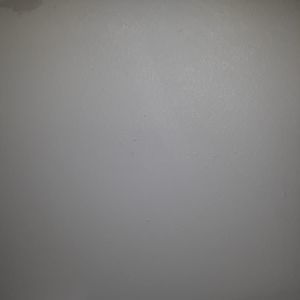 Meet your Posher, Nelson